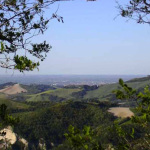 Monte Mirabello